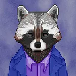 The Raccoon Who Lost Their Shape apk download