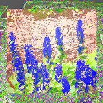 wet grass 2