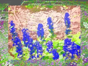 wet grass 1